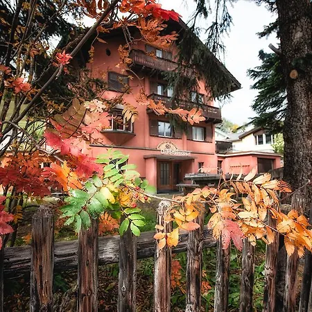 Chalet Speciale - Celerina-2